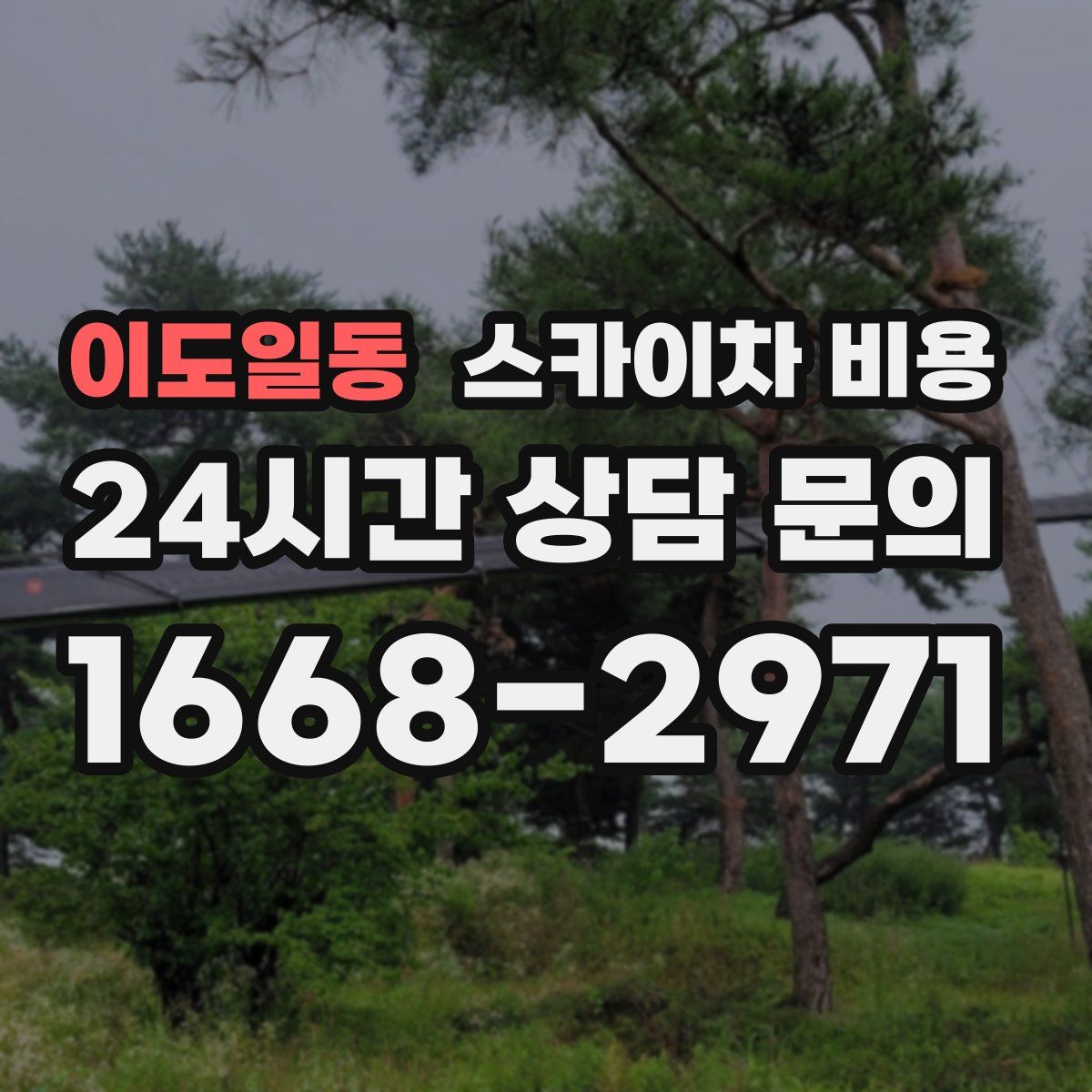 이도일동 스카이차 비용