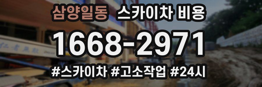 삼양일동 스카이차 비용