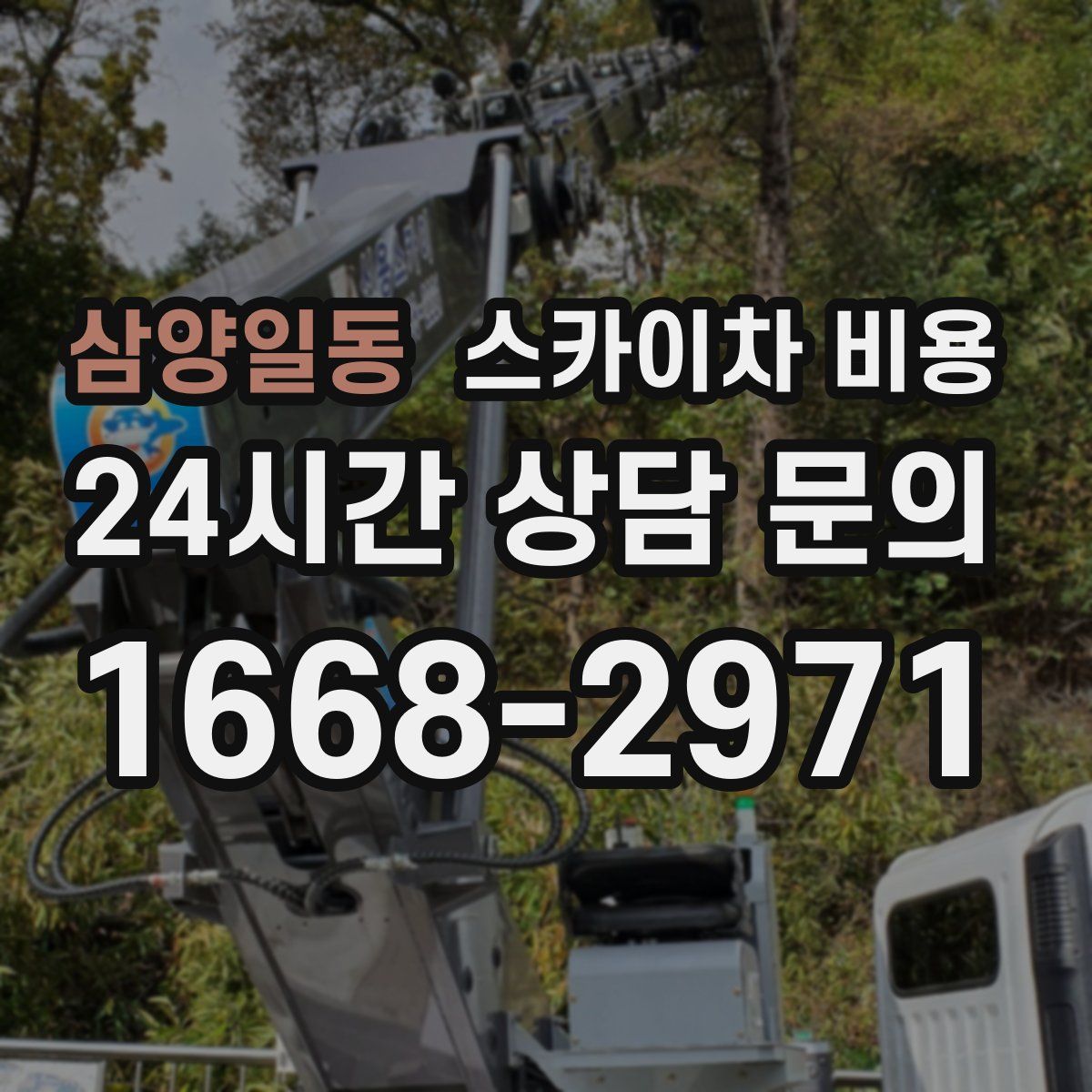 삼양일동 스카이차 비용