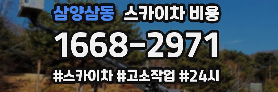 삼양삼동 스카이차 비용