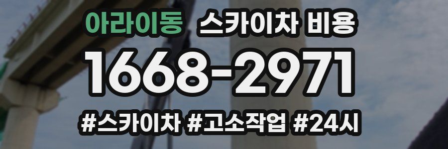 아라이동 스카이차 비용