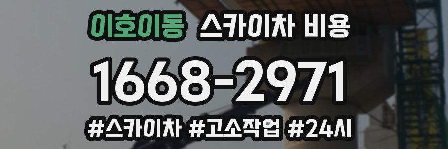 이호이동 스카이차 비용