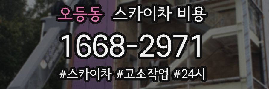 오등동 스카이차 비용