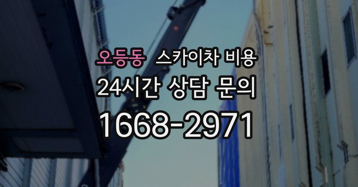 오등동 스카이차 비용