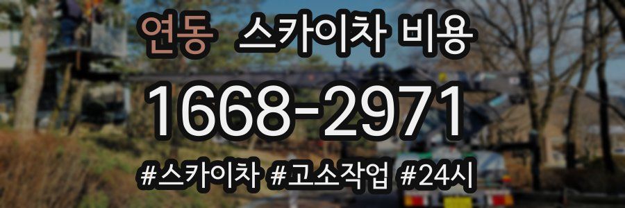 연동 스카이차 비용