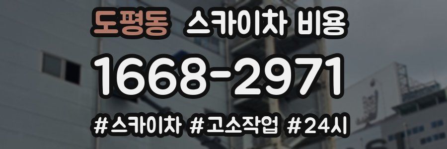 도평동 스카이차 비용