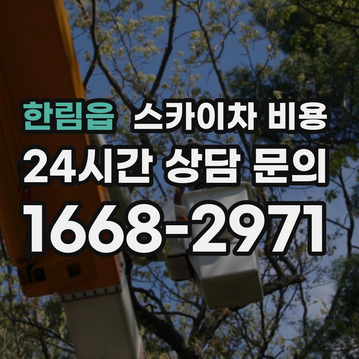 한림읍 스카이차 비용