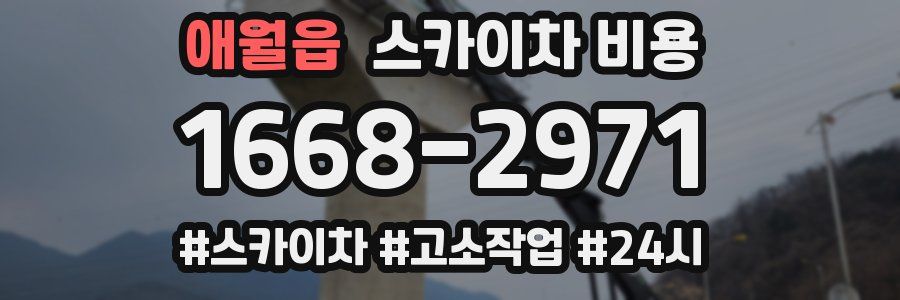 애월읍 스카이차 비용