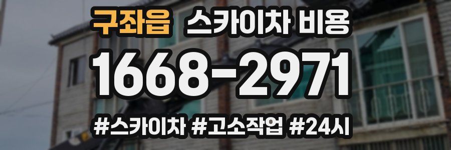 구좌읍 스카이차 비용