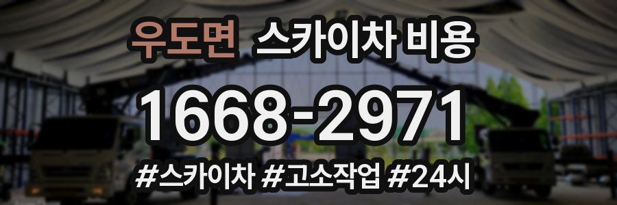 우도면 스카이차 비용