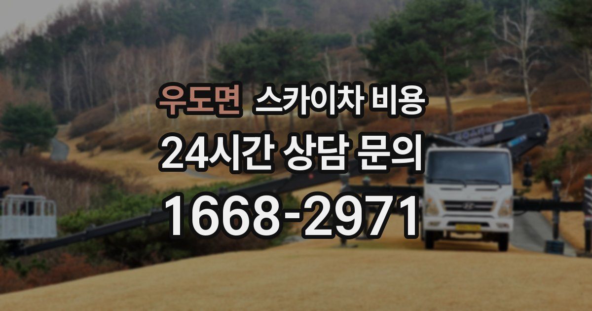 우도면 스카이차 비용