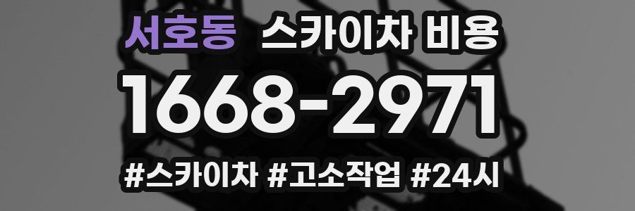 서호동 스카이차 비용