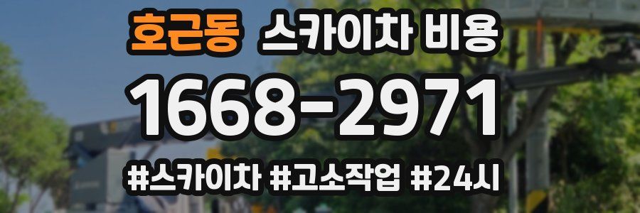 호근동 스카이차 비용