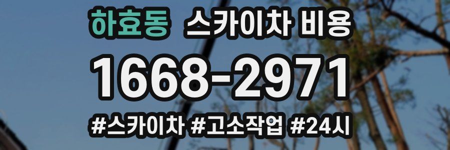 하효동 스카이차 비용