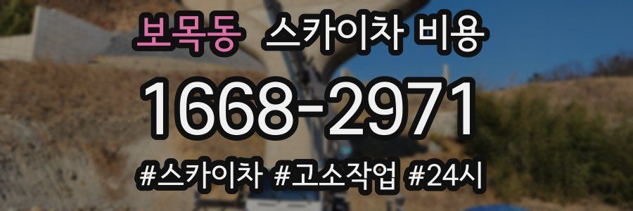 보목동 스카이차 비용