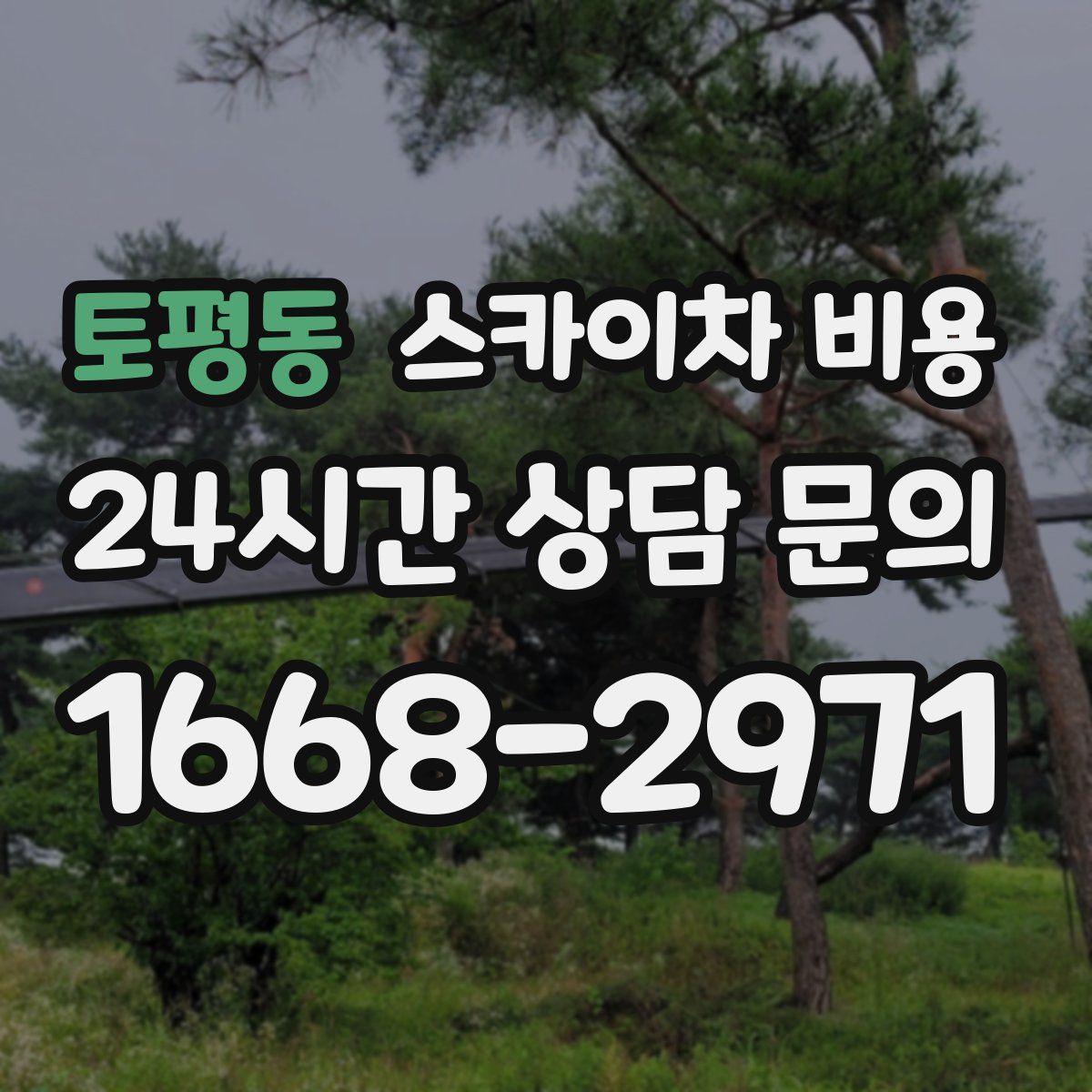 토평동 스카이차 비용