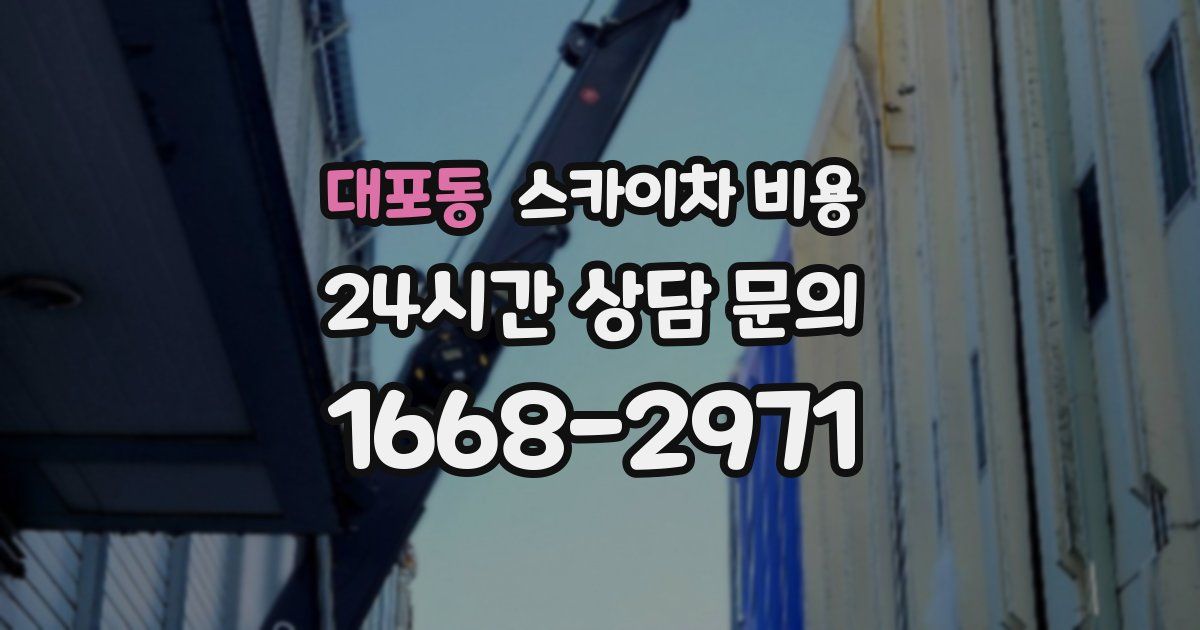 대포동 스카이차 비용