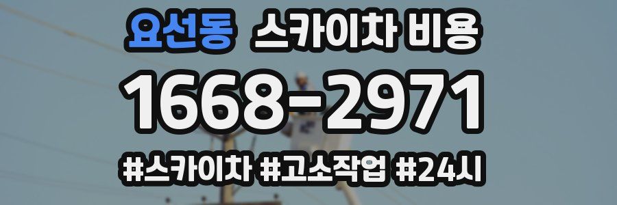 요선동 스카이차 비용