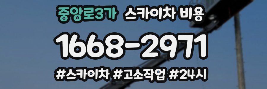 중앙로3가 스카이차 비용