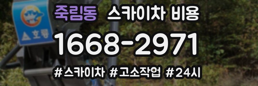 죽림동 스카이차 비용