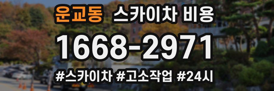 운교동 스카이차 비용