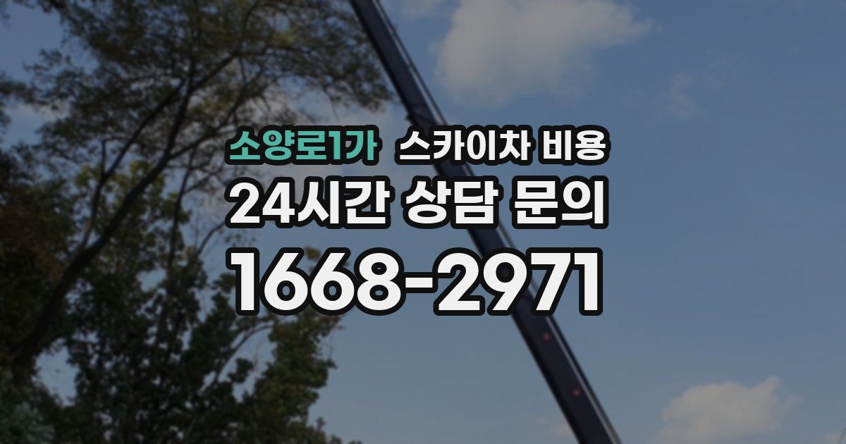 소양로1가 스카이차 비용