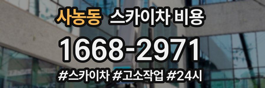 사농동 스카이차 비용