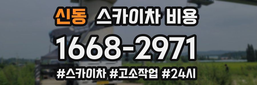 신동 스카이차 비용