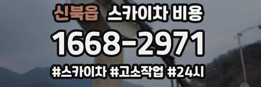 신북읍 스카이차 비용