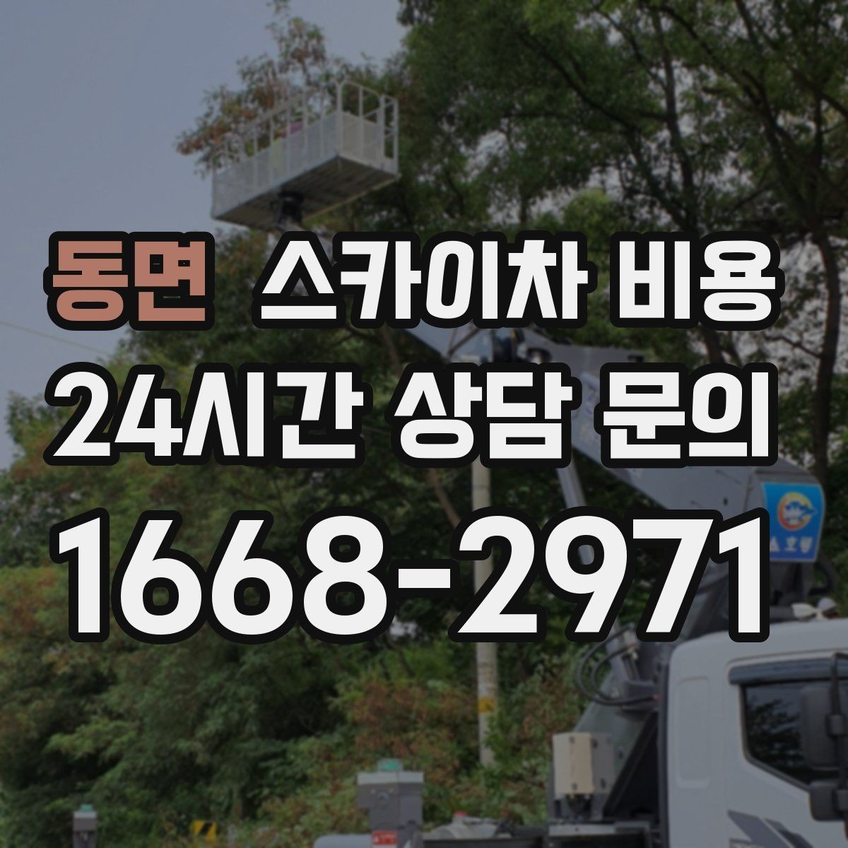동면 스카이차 비용 결국 비용은 '현장 조건'이 좌우합니다