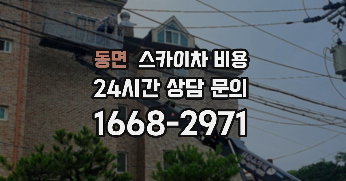 동면 스카이차 비용