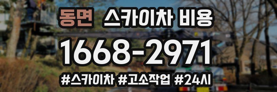 동면 스카이차 비용