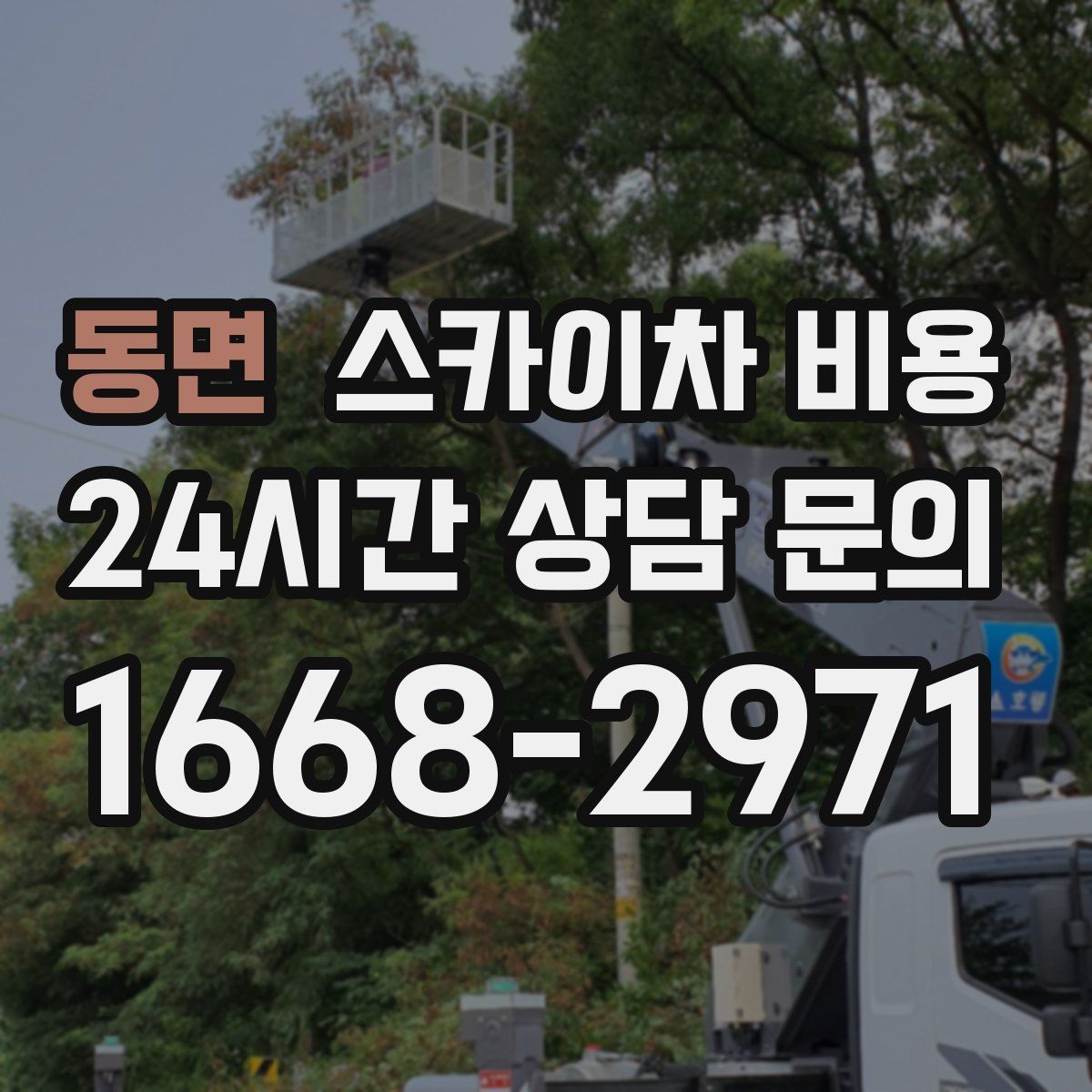 동면 스카이차 비용