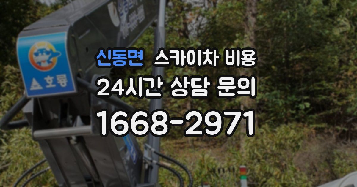 신동면 스카이차 비용