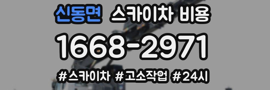 신동면 스카이차 비용