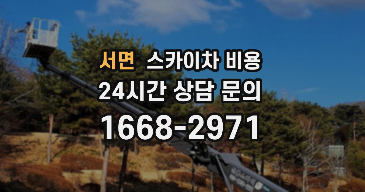 서면 스카이차 비용