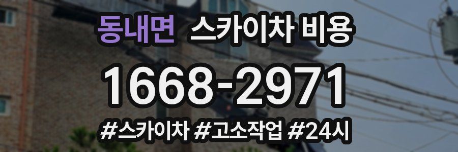 동내면 스카이차 비용