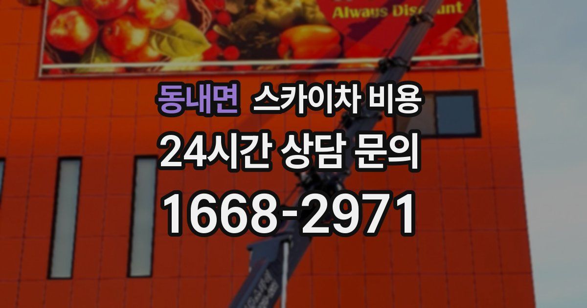 동내면 스카이차 비용