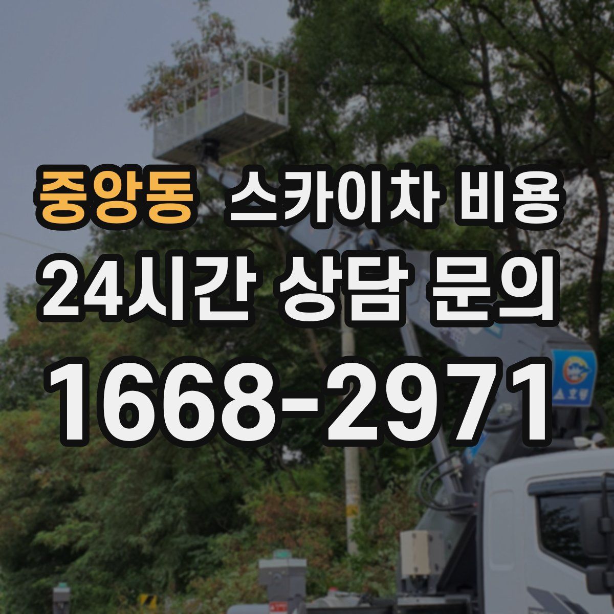 중앙동 스카이차 비용