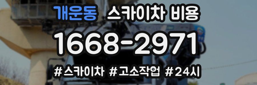 개운동 스카이차 비용