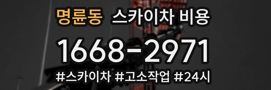 명륜동 스카이차 비용