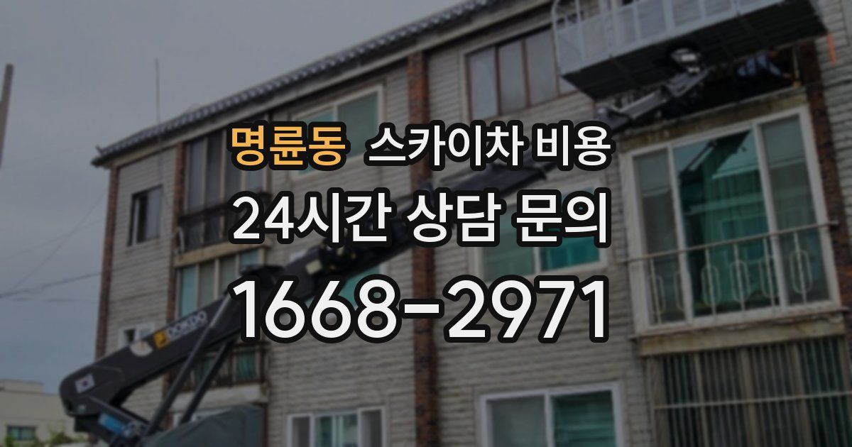 명륜동 스카이차 비용