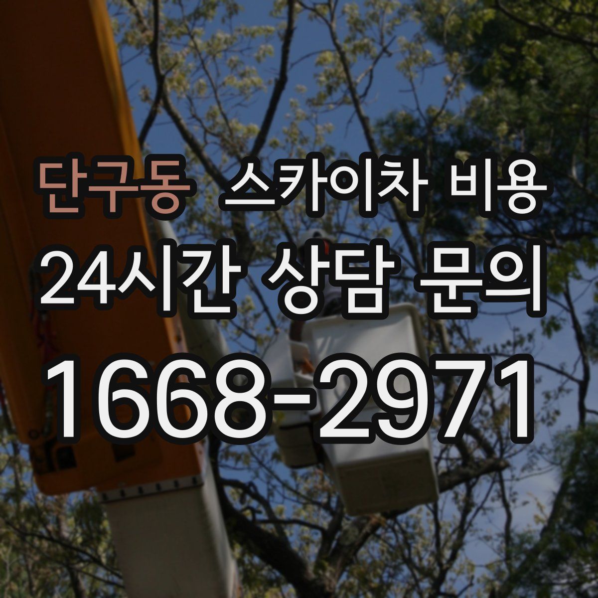 단구동 스카이차 비용