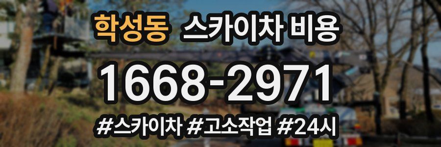 학성동 스카이차 비용