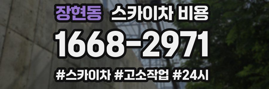 장현동 스카이차 비용