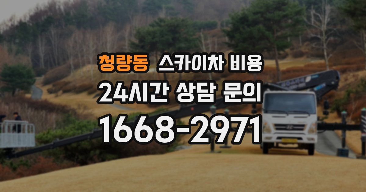 청량동 스카이차 비용