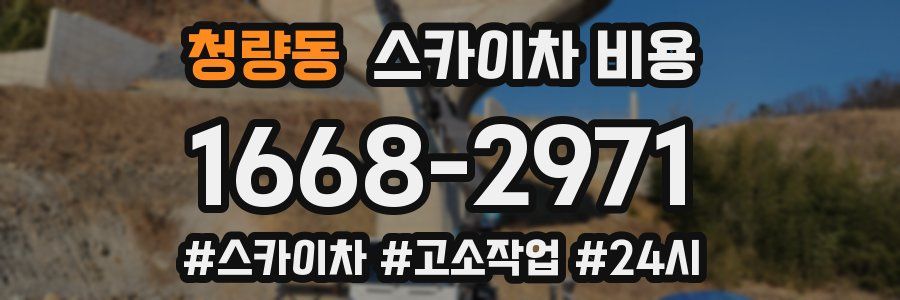 청량동 스카이차 비용