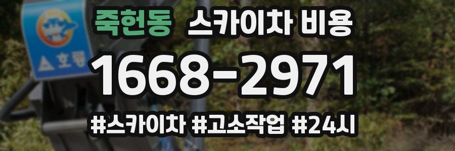 죽헌동 스카이차 비용