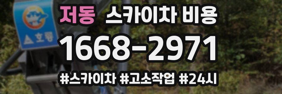 저동 스카이차 비용