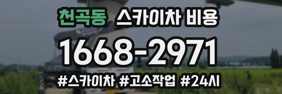 천곡동 스카이차 비용